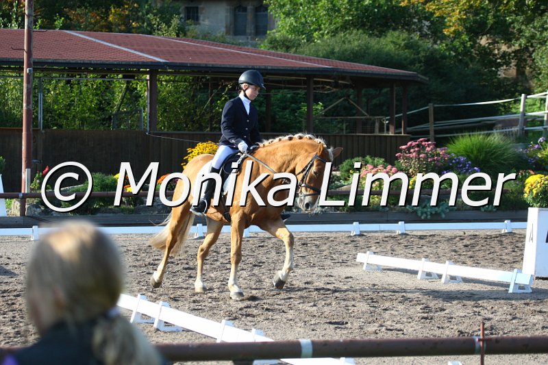 009M0905_Nafolk_Dressur A.JPG